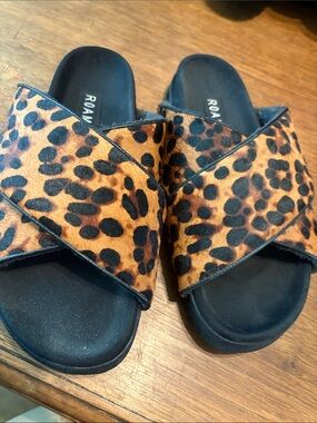 Roam slides leopard